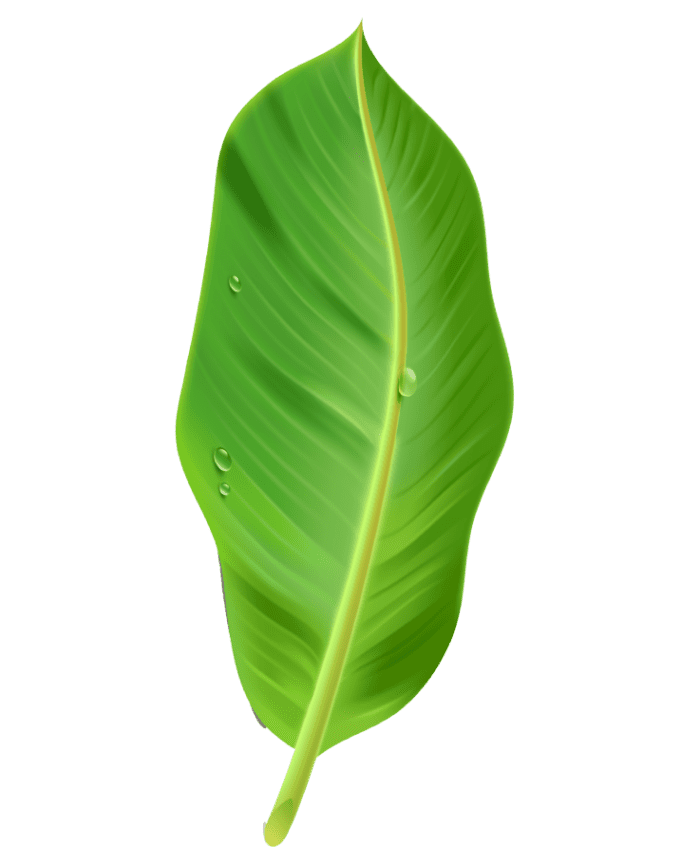 About Us J & J Green Paper, Inc. JANUS® Sustainable Paper Coating