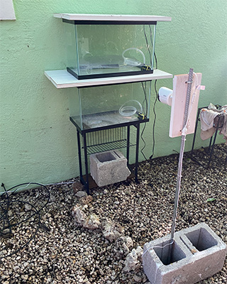 Camera setup for the compost trial