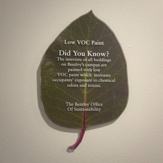 Image 3 2 26 at 2. 08 pm