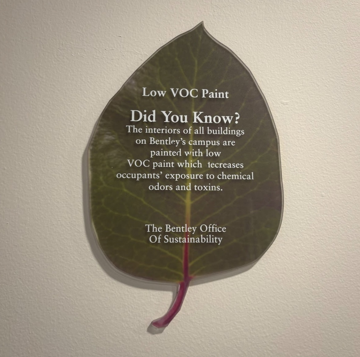 Image 3 2 26 at 2. 08 pm